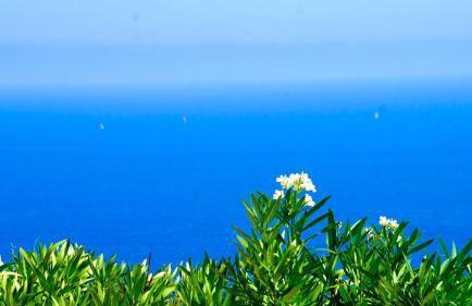 Villa Pétale de Rose - Foto 20