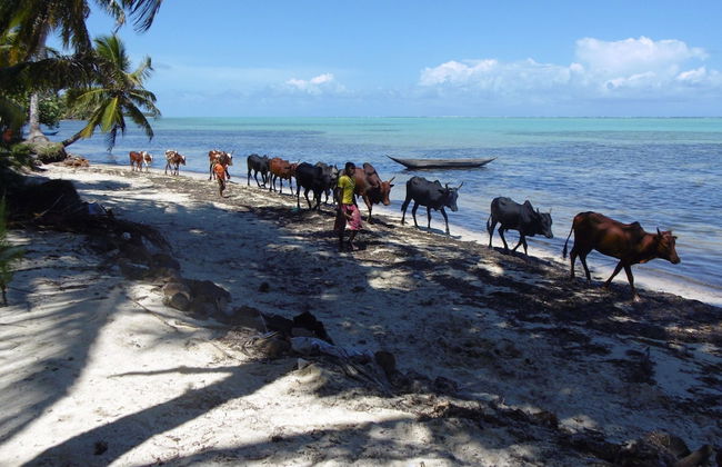 La Villa Mahafaly - Foto 19