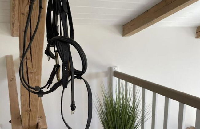 Spacious Apartment With Balcony - Foto 12