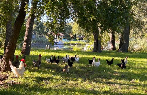 Apartment am Schwielochsee by Interhome - Photo 11