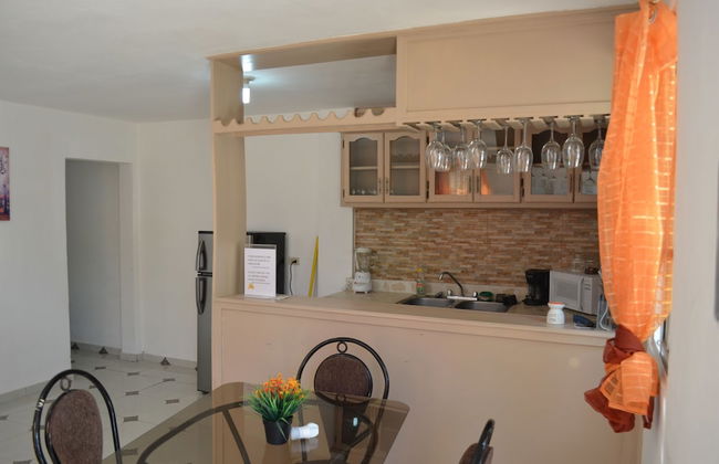 Apartamento Central - Foto 25