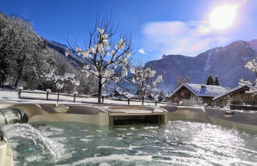 Chalet Josaly Jacuzzi et Sauna - Foto 16