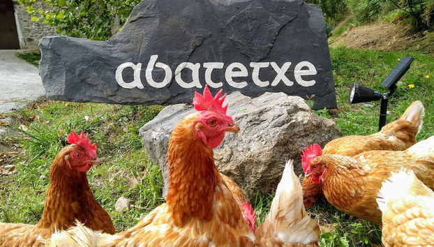 Casa Rural Abatetxe - Foto 2, Profilbild