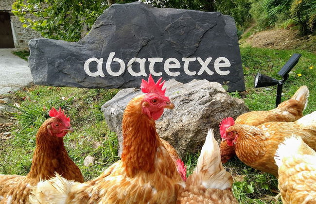 Casa Rural Abatetxe - Foto 1