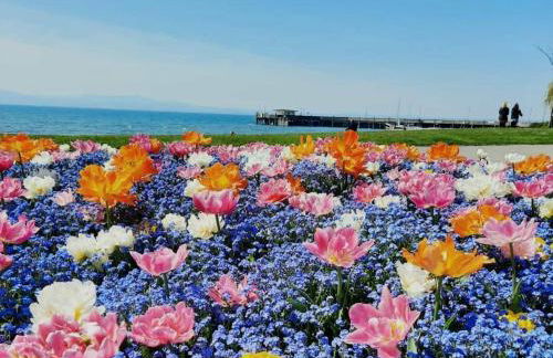 Ferienwohnung Thoma - Foto 11