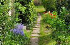 Le clos verdonnais - Foto 9