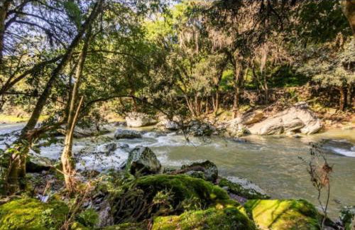 Cabanas do Rio - Photo 11