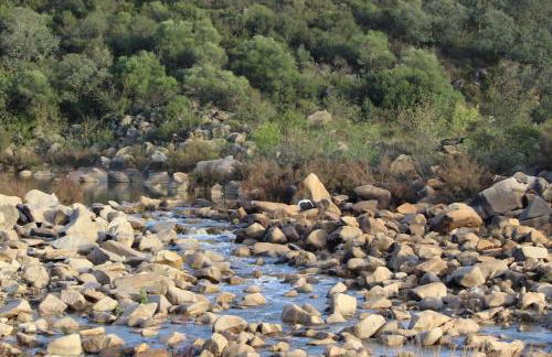 La casa de la encina - Foto 28