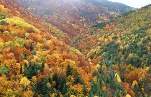 Casa Rural "Las Eras" - Foto 19