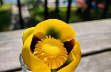 Lakefront Hot Tub Canoes Game Room Wood FP - Foto 64