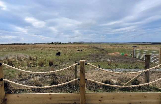 Cozy Cabin Retreat in Halkirk - Foto 21