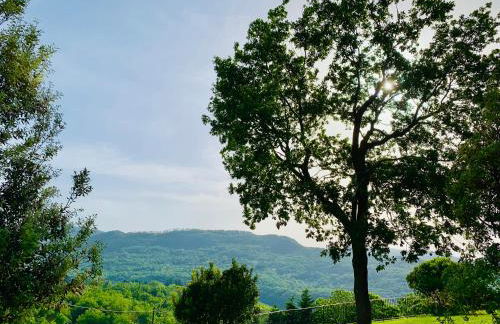 La Casa di Elia - Foto 14