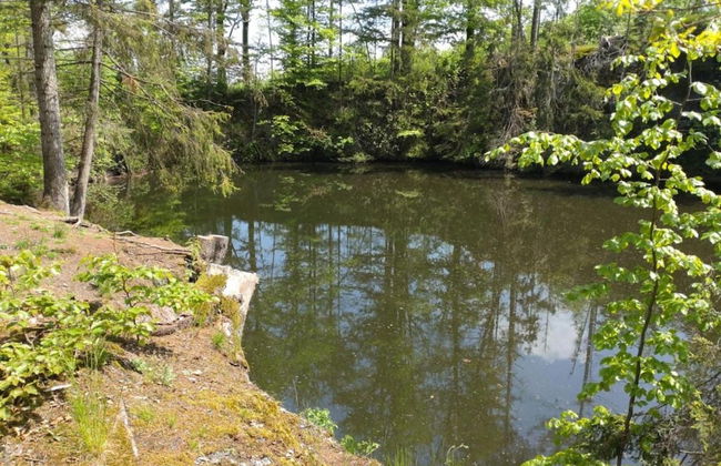 Unique Renovated Bakery in Landhouse - Foto 29