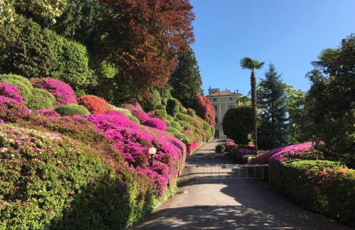 Residenza del Pascià - Appartamento Camphora - Foto 35