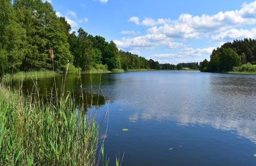 Ferienhaus am Garder See Inselblick - Foto 29