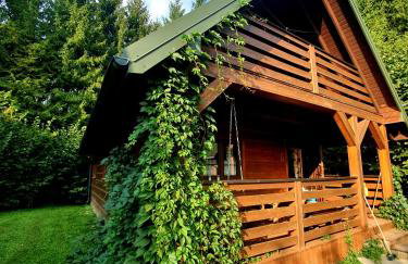 Osada Załuż - Foto 64