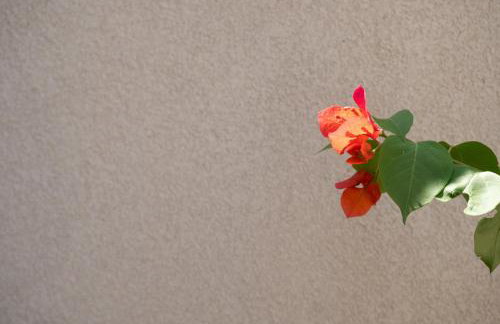 Apia Villas - Foto 35