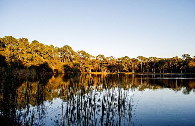 Big Cypress National Preserve Self Guided Driving Audio Tour - Photo 8