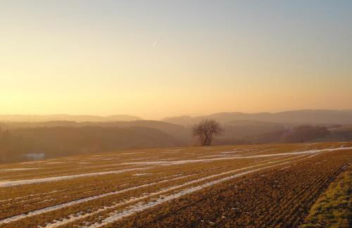 Holiday Home Moselle With Private Sauna - Foto 42