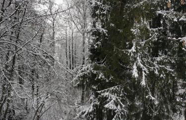 Ferienhaus Theodor OG - Foto 42