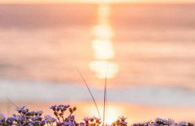 La casa di là. - Foto 1