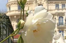 Studio Cannes Croisette - Foto 13