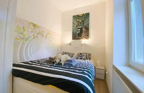 Apartment Silver Star with parking - Photo 20