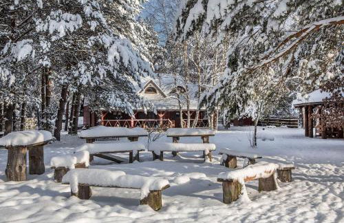 Maciejówka Borki 33 - Foto 46