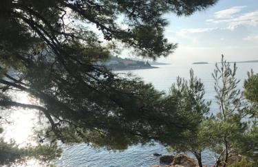 Studio Apartman Lokvice - Photo 13