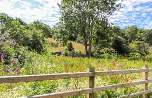 Ffrwdd Galed Uchaf - Photo 25