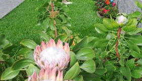 Casa Ventura - Photo 5