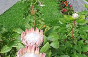 Casa Ventura - Photo 5