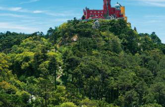 House of Roses - Sintra's Old Town - Photo 23