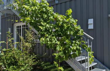 Haus zur Aach Tinyhouse - Foto 23