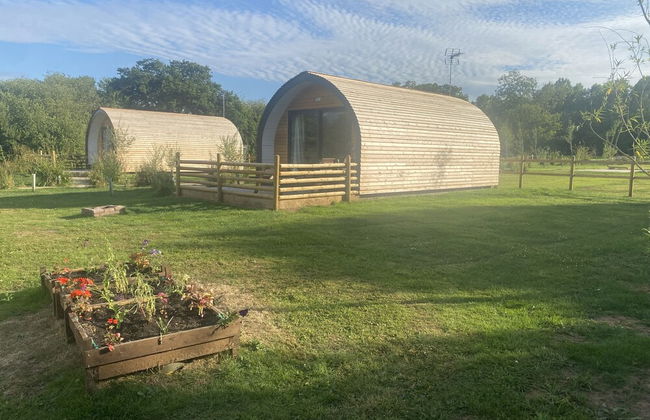 Beech Pod Cabin in Beautiful Surroundings Wrexham - Photo 31