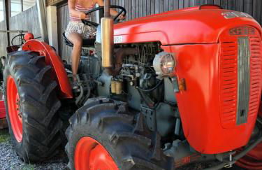 Ferienbauernhaus New Style - Foto 69