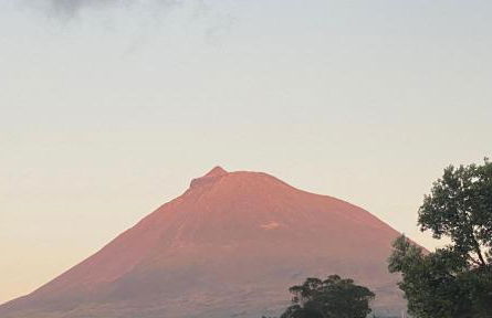 Ocean View Pico - Photo 43