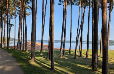 Seeliebe Ferienwohnung am Brombachsee - Foto 23