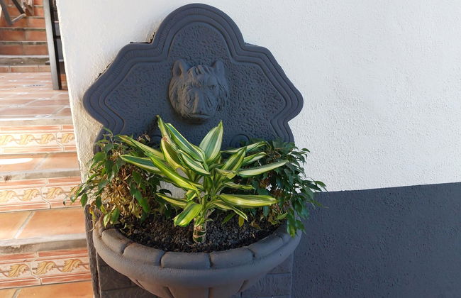 Apartamentos Monasterio de San Antonio - adults only - Photo 54