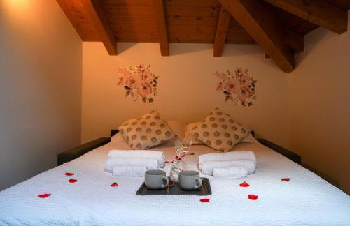 Ortensia - Radice Comfort Apartments - Leonardo, MXP & Laghi - Foto 7