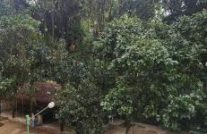 Apartamento Riviera - Photo 13