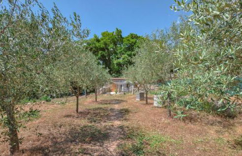 3 Bedroom Stunning Home In Montauroux - Foto 8