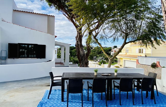 Azinheira CIP - Photo 25