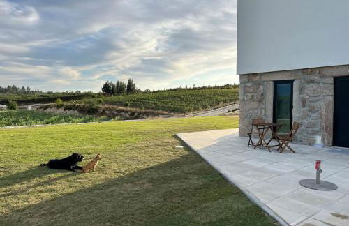 Quinta do Carregal - Foto 13