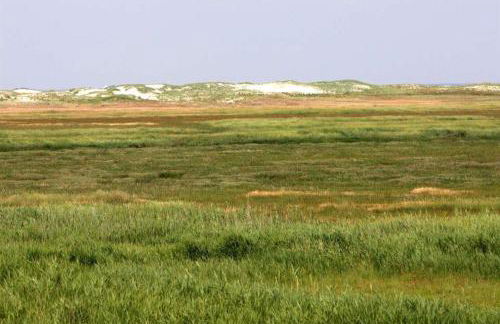 Ferienwohnung Nr. 25 - Foto 10