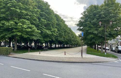 Hôtel particulier Champenois - Foto 75