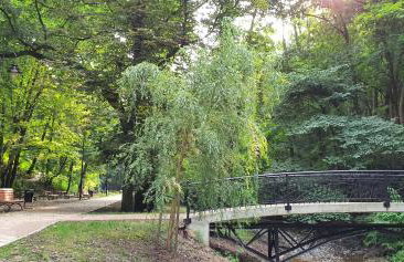 Dom w mieście Reszel - Foto 25