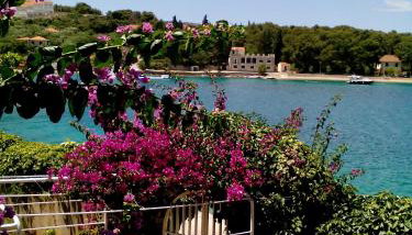 Apartment Zora - Foto 2