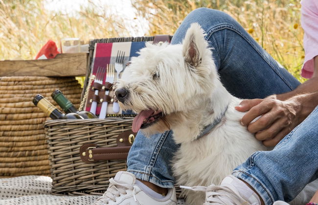 Il Borgo Incantato Dependance - Photo 28