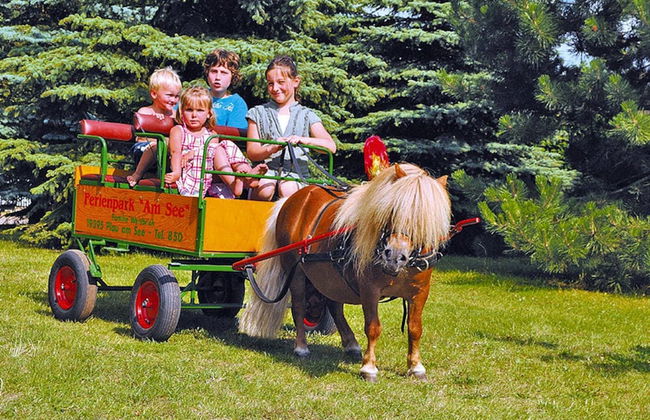 Seepark Heidenholz, Plau am See - Photo 70